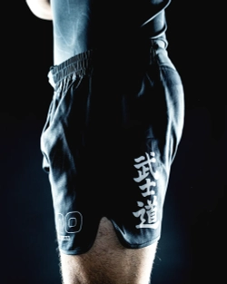 Шорты Half Sumo Junkie