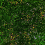 Мох искусственный "Лесной" Дизайн 8, ширина 2м, рулон 5м