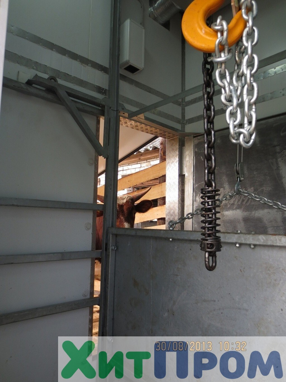 Линия убоя КРС 20 голов/смена. Ленинградская область