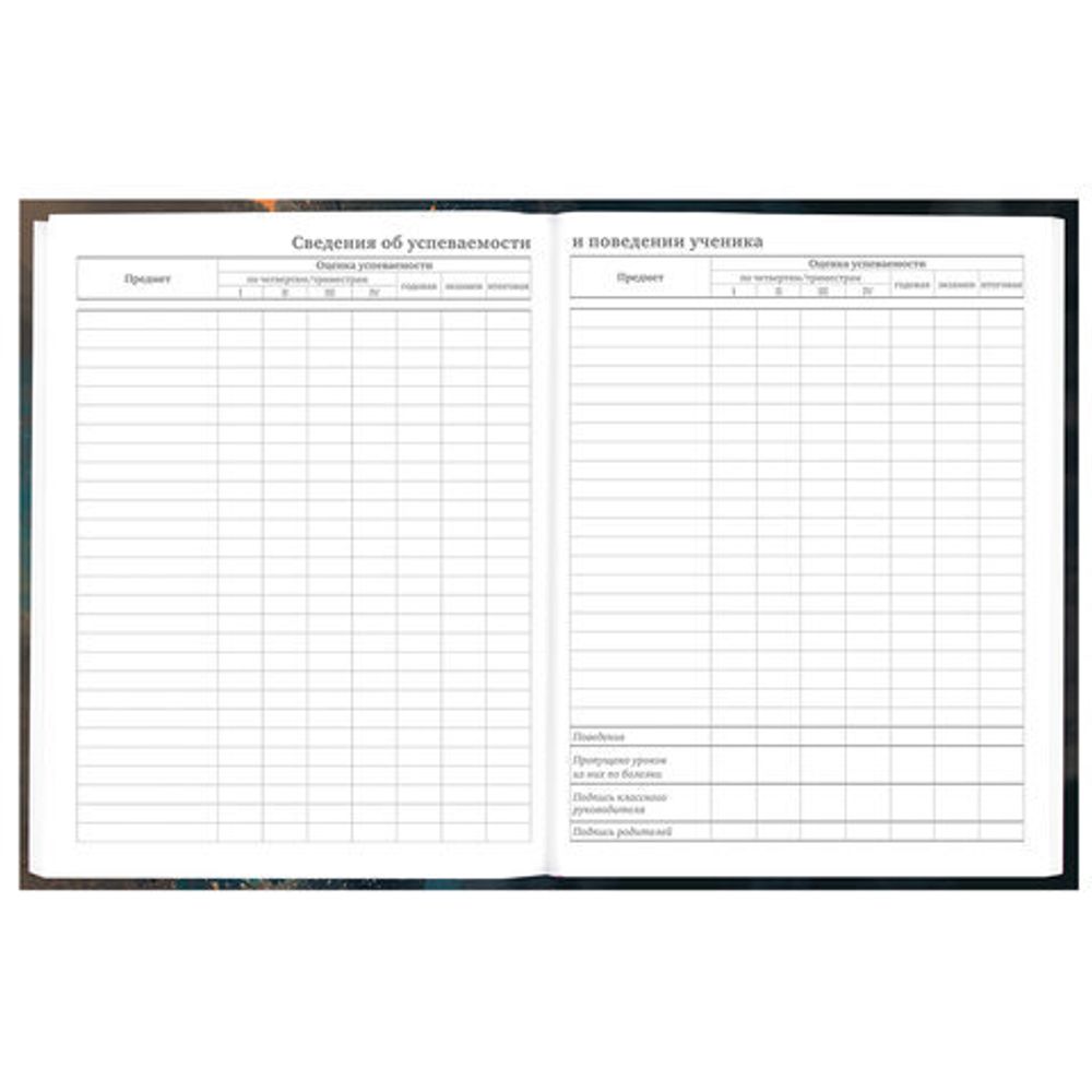 Дневник 5-11 класс 48 л., гибкая обложка, BRAUBERG, глянцевая ламинация, с подсказом, "Cat", 107181
