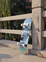 Скейтборд Tech Team Sibling HEX 7,5"