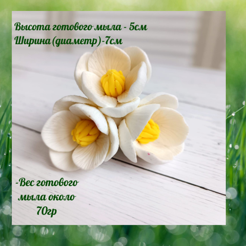 Силикон.форма 