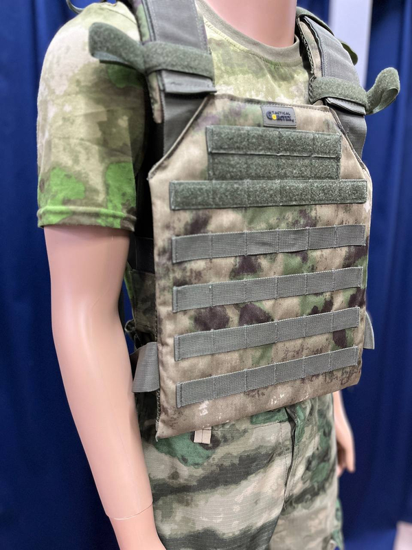 Плитник без плит / мох