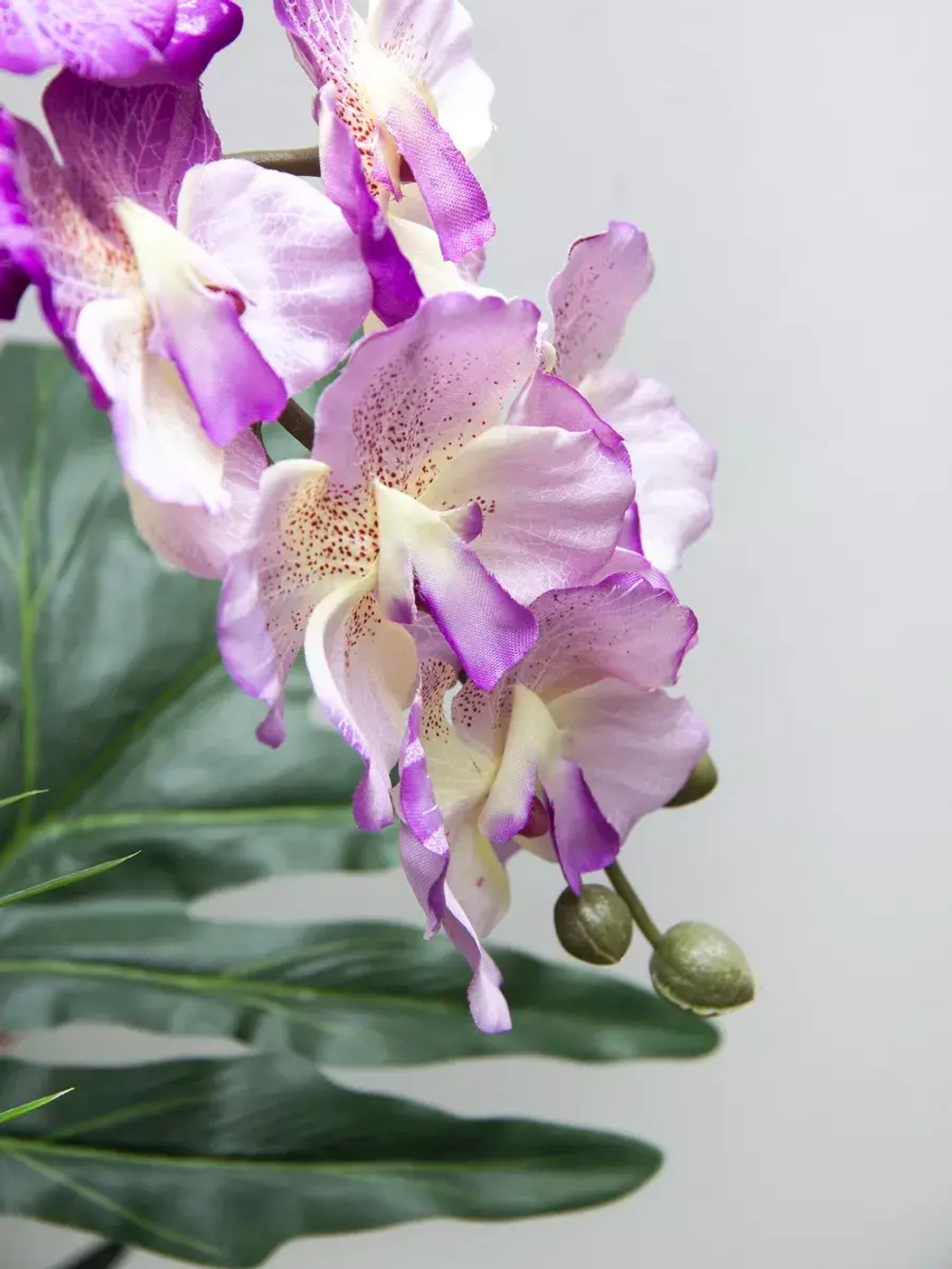 Композиция в ящике "Фаленопсис"