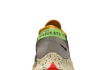 Кроссовки Nike Pegasus Trail 2 Gore-Tex