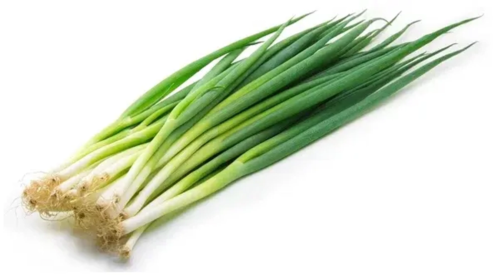 Зеленый лук