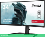 Игровой монитор Iiyama G-Master Red Eagle GB3467WQSU-B5