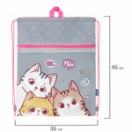 Мешок для обуви BRAUBERG, с петлей, светоотражающая полоса, 2 отделения, 46х36 см, "Hi there", 273449