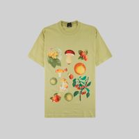  Футболка мужская Obey Fruits & Mushrooms артикул:166912677 - купить в магазине Дайс