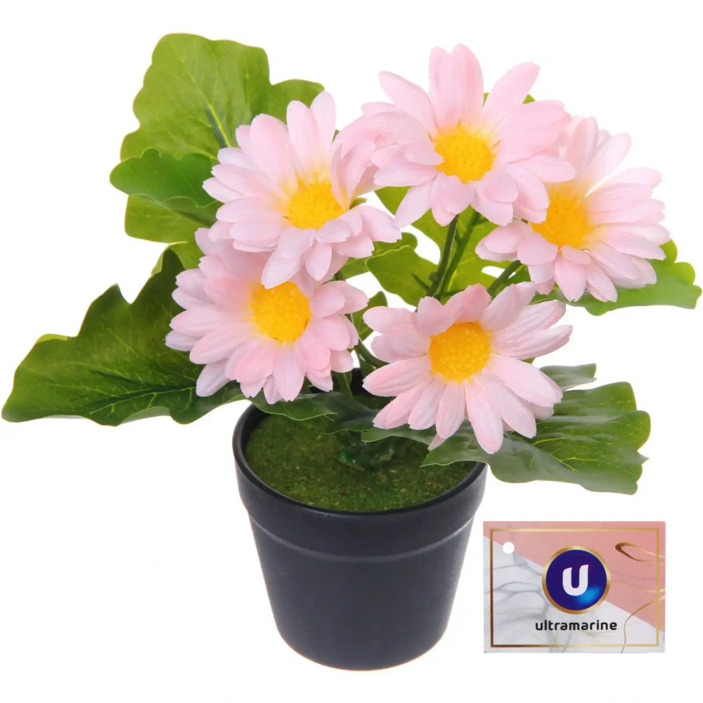 Цветочная композиция «Поцелуй лета» Хризантема розовая 20см