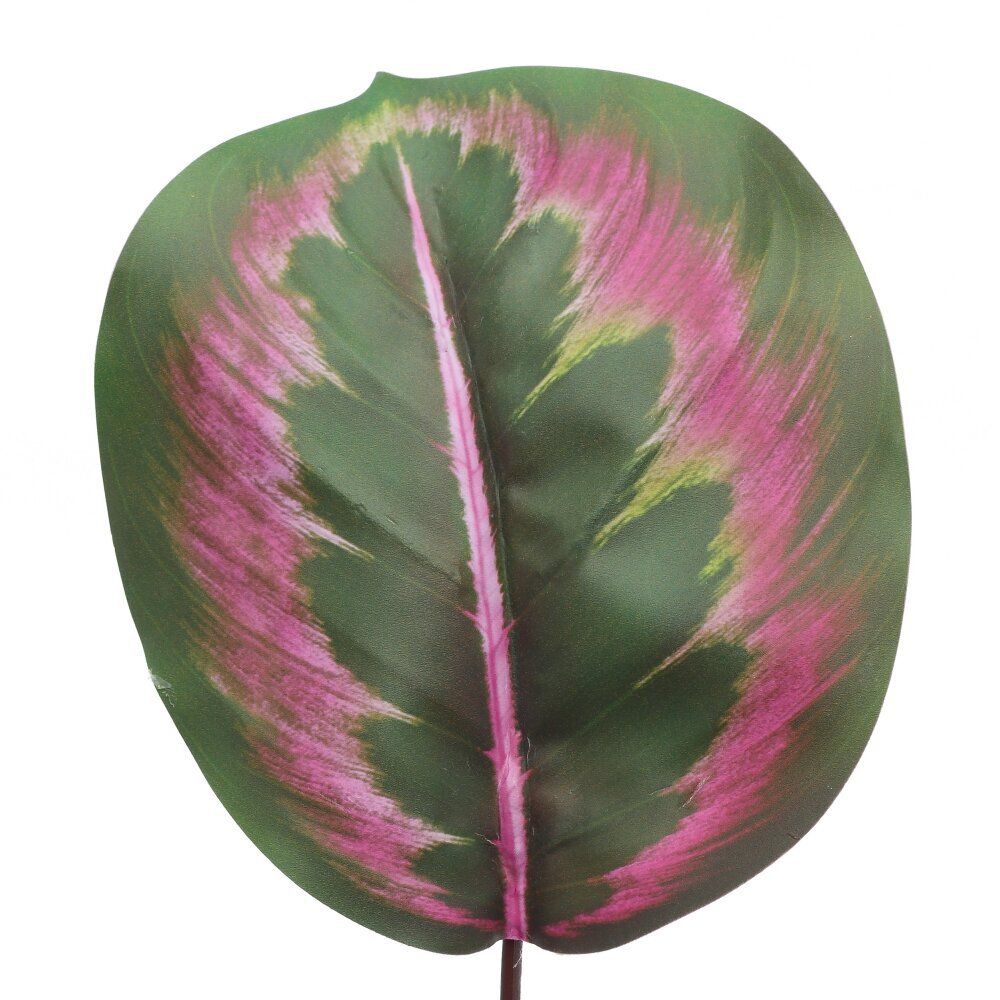 GAEM Цветочная композиция "Маранта", L10 W10 H35 см