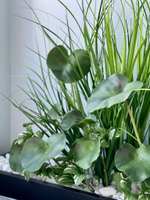 Искусственные растения для частного интерьера.