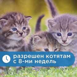 Капли на холку от клещей, блох и гельминтов для кошек от 3-4кг Санакард (Pchelodar), 4 пипетки Фипронил/Ивермектин