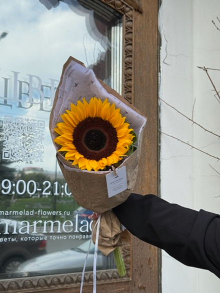 Кулек из подсолнуха