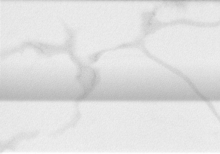 Декор ROMA 25 STATUARIO ALZATA (fLUW)