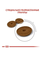 ROYAL CANIN Digestive Care (Роял Канин Дайджетив Кэа) корм сухой для кошек 400гр