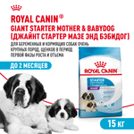 Royal Canin Giant Starter Mother & Babydog Джайнт Стартер Мазе энд Бебидог Корм для щенков гигантских пород в период первой фазы и отъема 15кг