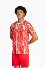 Футболка adidas FC Bayern 24/25 Pre-Match