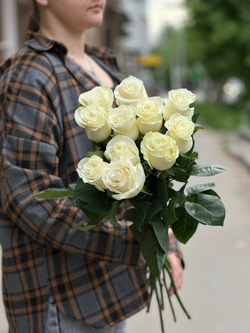 Белая роза сорт «Мондиаль» (Эквадор)