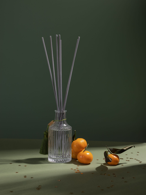 BOCA AROMA Диффузор для дома Crystal NORWAY MOSS, 130мл.