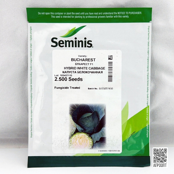 БУХАРЕСТ F1 семена капусты белокочанной (Seminis | Alexagro) – фото 5