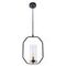 Подвесной светильник Arte Lamp Celaeno A7004SP-1BK