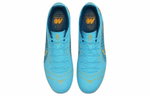 Кроссовки Nike 14 Academy Hg