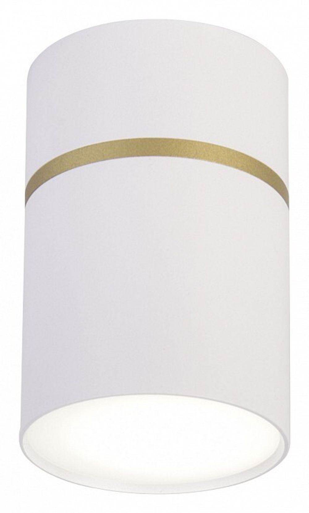 Накладной светильник Favourite Dunia 3067-1C