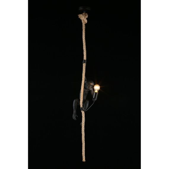 Подвесной светильник Aployt Magali APL.309.16.01