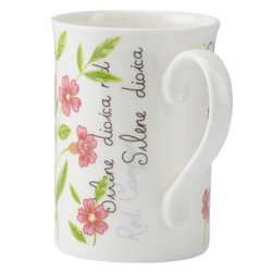 Кружка 0.3л Price&Kensington Botanic розовая