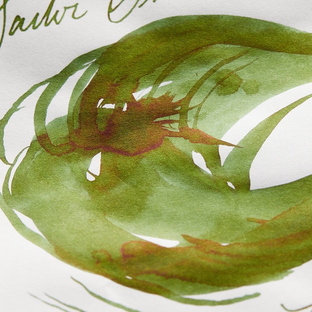 Чернила Sailor Shikiori Tokiwa Matsu 20 мл (13-1008-202) 6