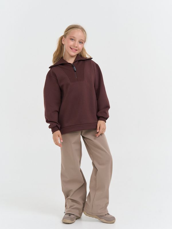 Брюки Softshell демисезонные 