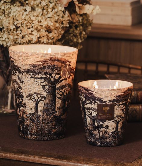 Mankono, свеча MAX 16 Sacred Trees collection, Baobab Collection