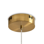 Подвесной светодиодный светильник Freya Amela FR6138PL-L44BS