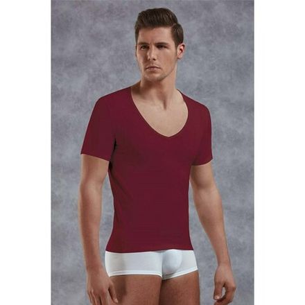 Мужская футболка с глубоким вырезом бордовая Doreanse 2820