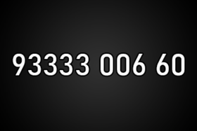 9333300660
