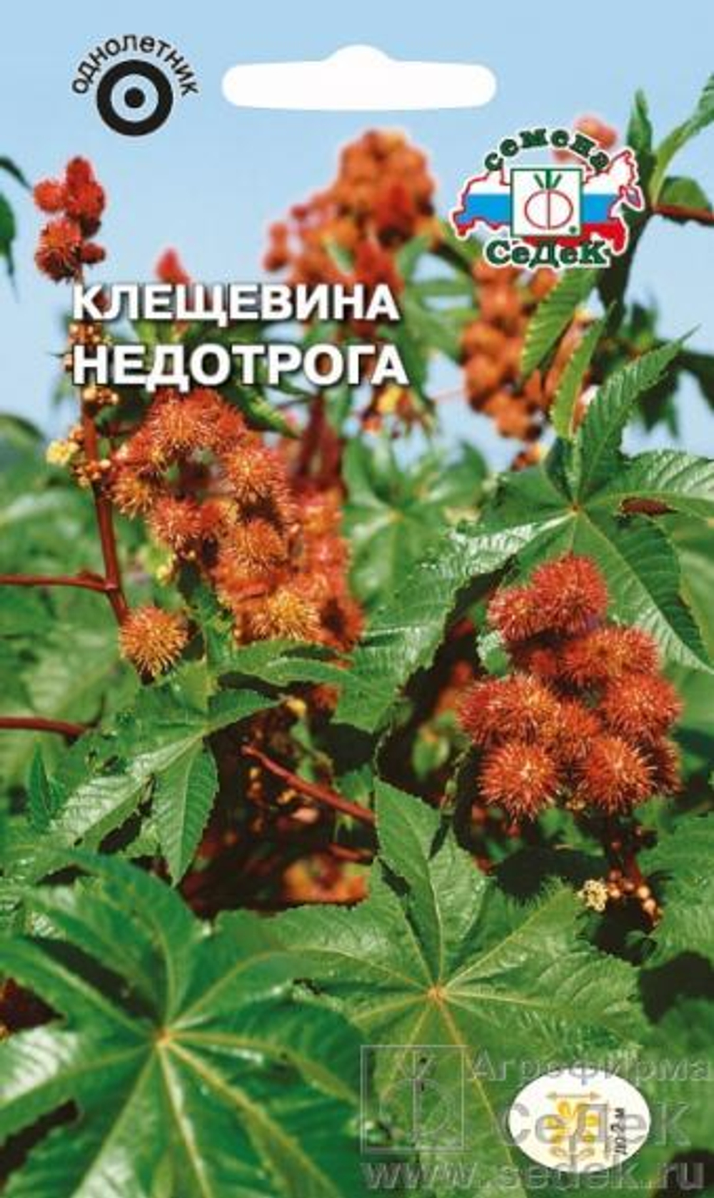 Клещевина Недотрога 2 гр Седек