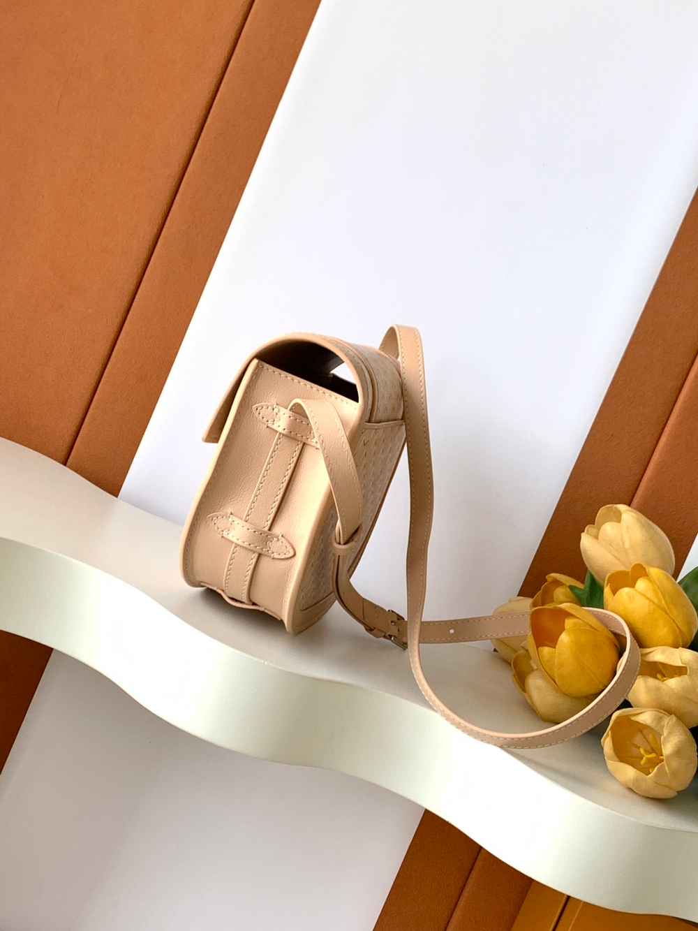 Moynat Besace Bag 22 cm