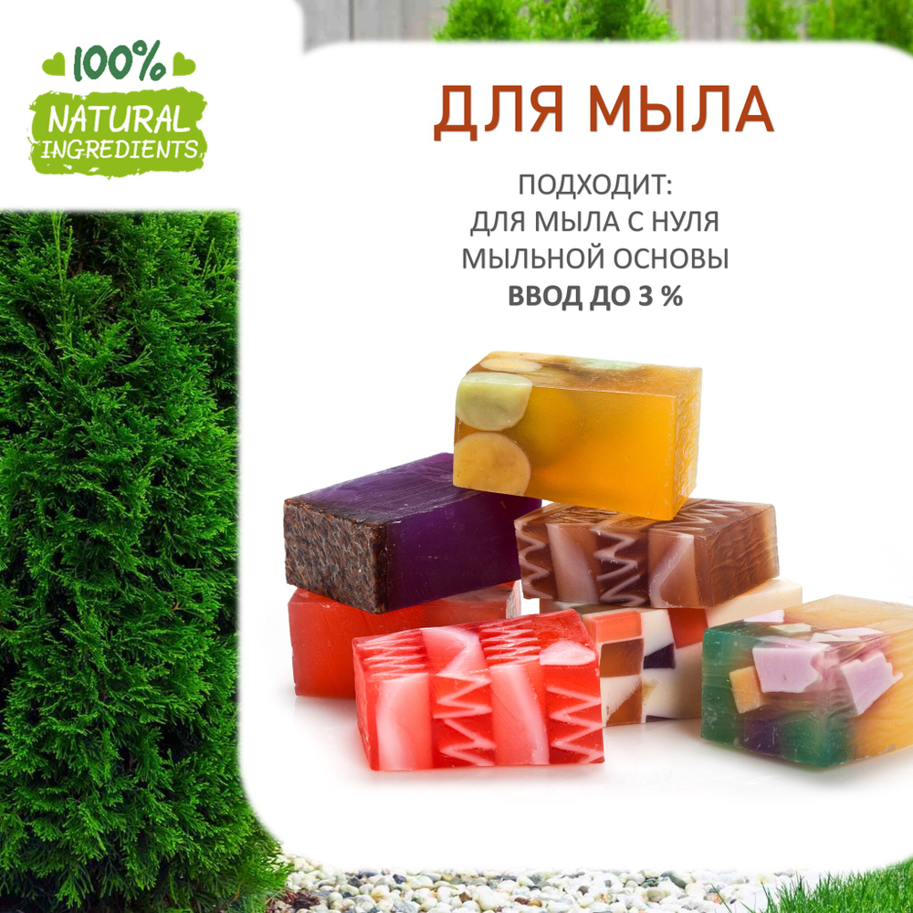 Туя, отдушка для свечей и мыла