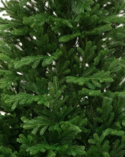 Искусственная елка Флоренция 240 см., 100% литая хвоя, ЕлкиТорг (129240)