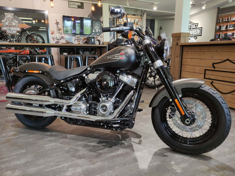 Softail Slim 2021 Harley-Davidson River Rock Gray Denim / Black Denim