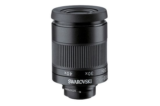 Зрительная труба SWAROVSKI ATS 20-60x80