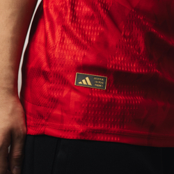 Бельгия / Домашняя / Игровая