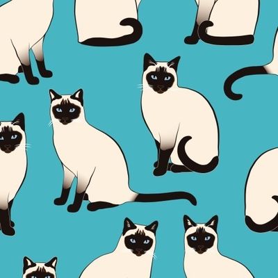 Сиамские кошки