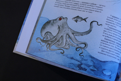 Море. И море фактов о нём