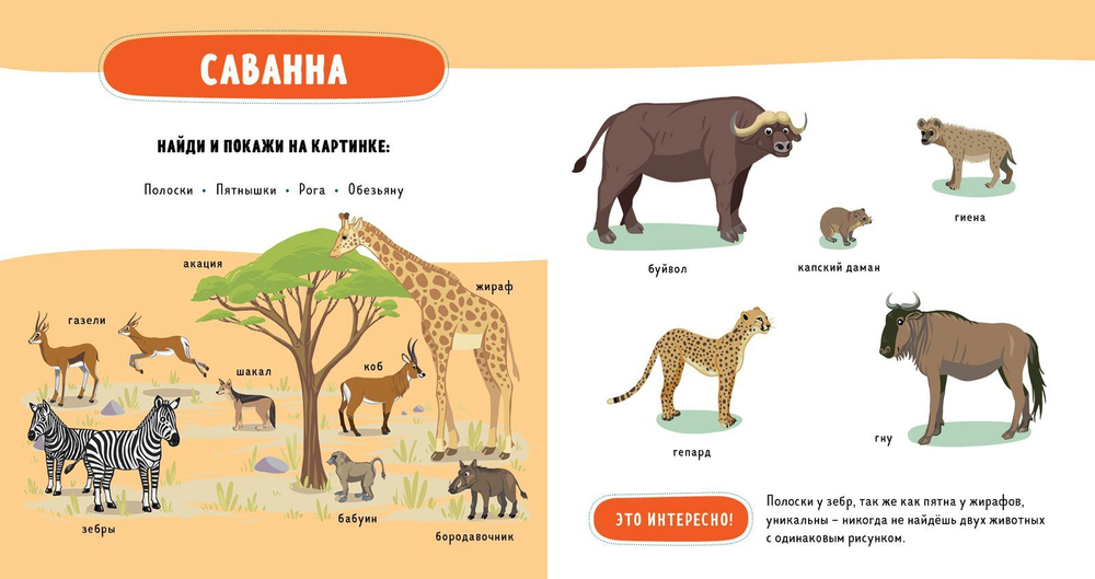 Главная книга малыша. Такие разные животные