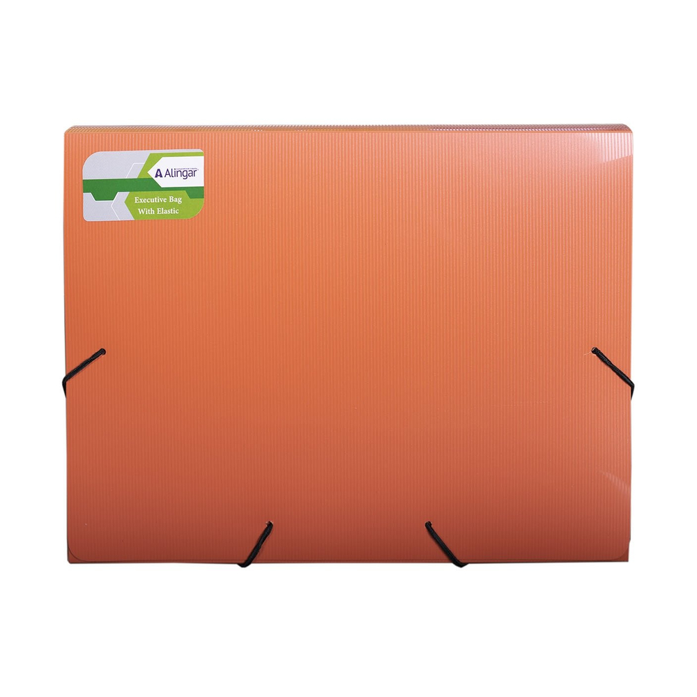 Папка на резинке Alingar, A4, 240х330х33 мм, 600 мкм, ассорти, матовая, "Flossy"