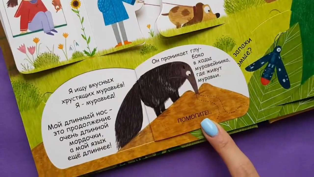 Самые первые окошки. 40 окошек. Как я вижу, слышу и чувствую