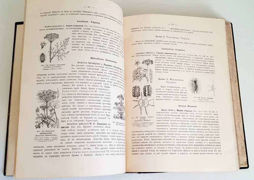 "Ботанический атлас. Описание и изображение растений Русской Флоры". Составил Н.А. Монтеверде, главный ботаник Имп. Ботанического сада Петра Первого. 1906 г. - редкая книга