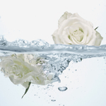 Освежающий гель для интимной гигиены с розовой водой Feminelle